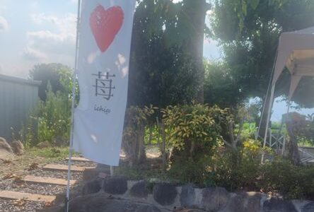 しのだ農園で「いちごみるく」を飲む 愛西市のお店